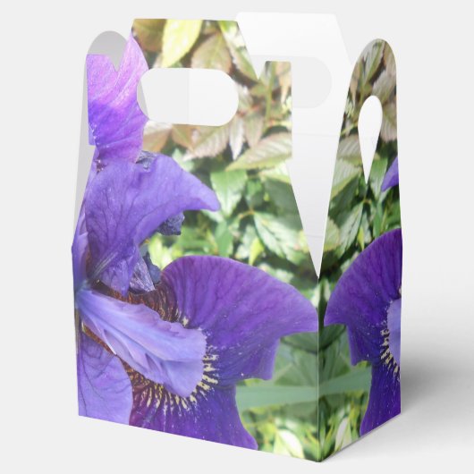 Brandels Bedankdoosjes (Geopend)