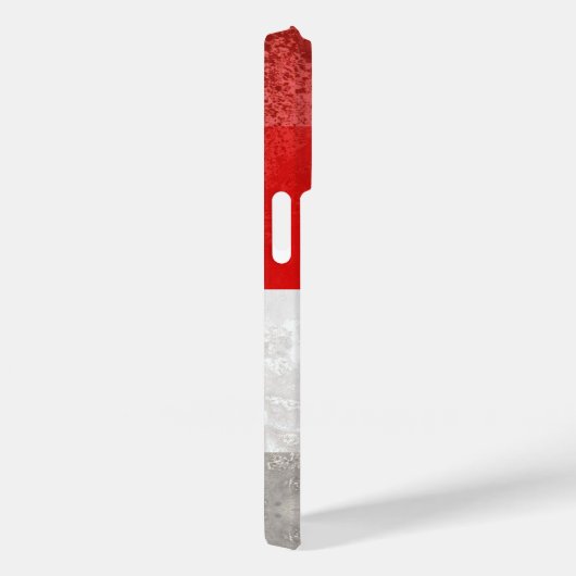 Brandenburg Case-Mate iPhone Case (Achterkant / Rechts)