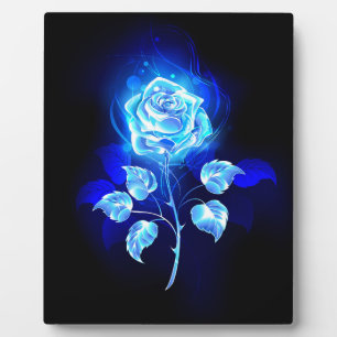 Brandende Blauwe Roos Fotoplaat