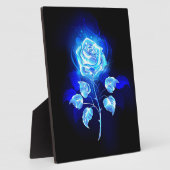 Brandende Blauwe Roos Fotoplaat (Zijkant)