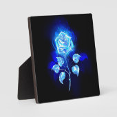 Brandende Blauwe Roos Fotoplaat (Voorkant)