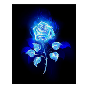 Brandende Blauwe Roos Perfect Poster