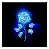 Brandende Blauwe Roos Perfect Poster (Voorkant)
