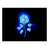 Brandende Blauwe Roos Perfect Poster (Voorkant)