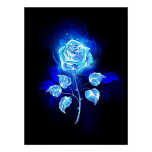Brandende Blauwe Roos Perfect Poster