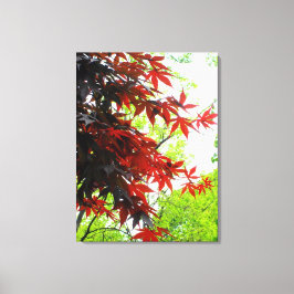 'Brandende Esdoorns' Ingepakt Canvas Print