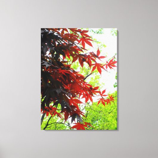 'Brandende Esdoorns' Ingepakt Canvas Print (Voorkant)