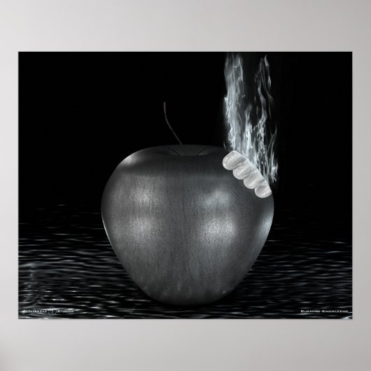 Brandende Kennis Poster (Voorkant)