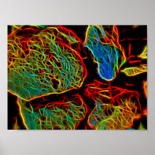 Brandende Neon Geschilderde Keien Poster