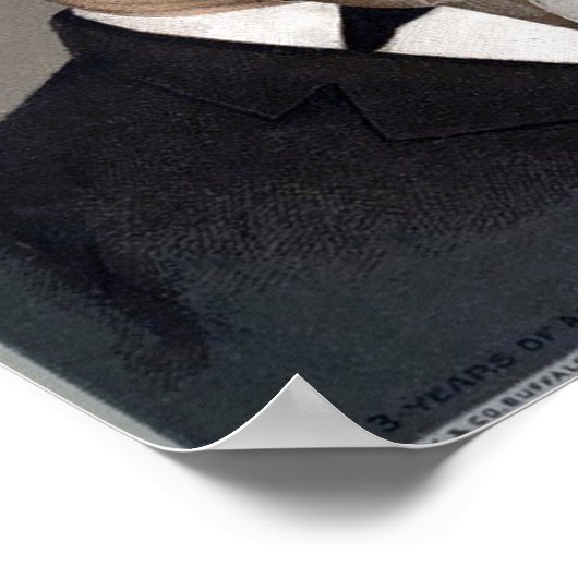  brander Blood Bitters Advertisement Poster (Hoek)