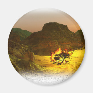 Branderig gevoel Struik 1 Magneet