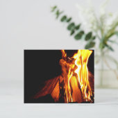 Brandhout en Kaart na verbranding (Staand voorkant)