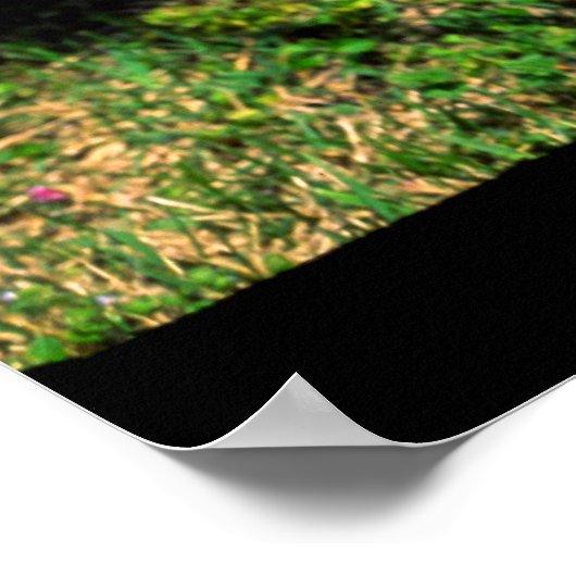 Brandkraan Nashville Poster (Hoek)