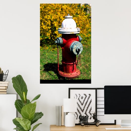 Brandkraan Nashville Poster (Thuiskantoor)