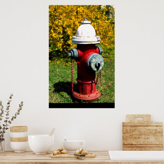 Brandkraan Nashville Poster (Keuken)