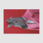 Brandon de Zebra Tissuepapier (Voorkant)