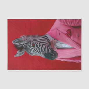 Brandon de Zebra Tissuepapier