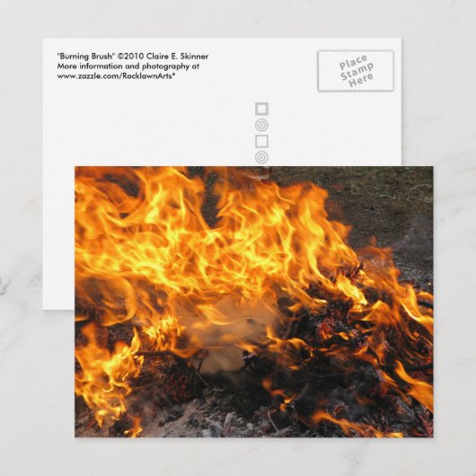 Brandpenseel Briefkaart (Voorkant / Achterkant)