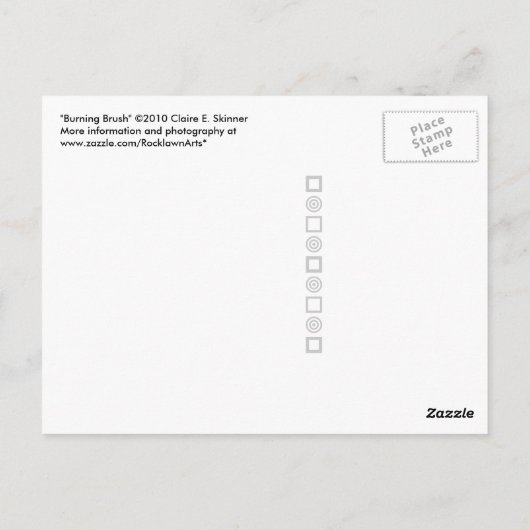 Brandpenseel Briefkaart (Achterkant)