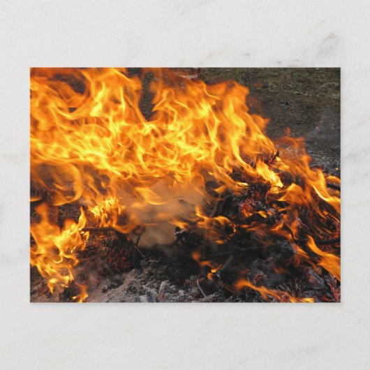 Brandpenseel Briefkaart (Voorkant)