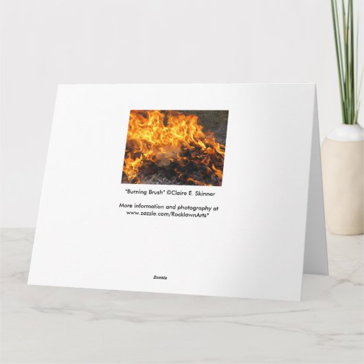 Brandpenseel Kaart (Achterkant)