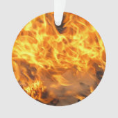 Brandpenseel Ornament (voorkant)