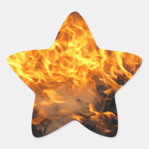 Brandpenseel Ster Sticker