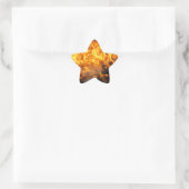 Brandpenseel Ster Sticker (Tas)