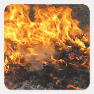 Brandpenseel Vierkante Sticker