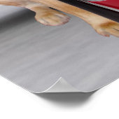  brandproef poster (Hoek)