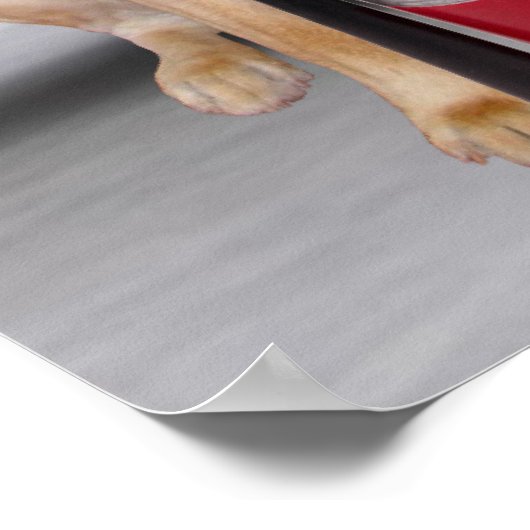  brandproef poster (Hoek)