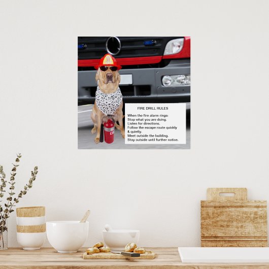 brandproef poster (Keuken)