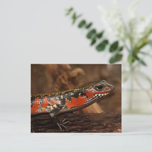 Brandschacht Briefkaart (Staand voorkant)