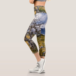 Brandstofboom, Torres del Paine, Chili