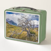 Brandstofboom, Torres del Paine, Chili (Voorkant)