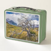 Brandstofboom, Torres del Paine, Chili (Achterkant)