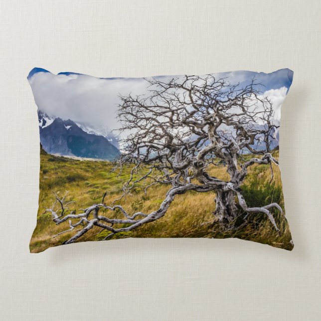 Brandstofboom, Torres del Paine, Chili Accent Kussen (Voorkant)