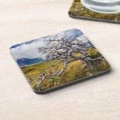 Brandstofboom, Torres del Paine, Chili Bier Onderzetter (Linkerzijde)
