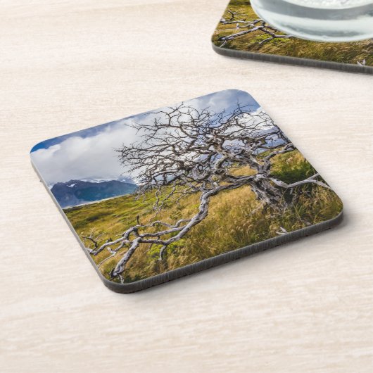 Brandstofboom, Torres del Paine, Chili Bier Onderzetter (Linkerzijde)