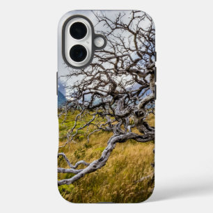 Brandstofboom, Torres del Paine, Chili iPhone 16 Hoesje