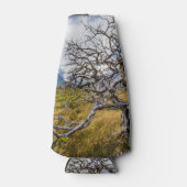 Brandstofboom, Torres del Paine, Chili Flesjeskoeler (Voorkant)