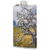 Brandstofboom, Torres del Paine, Chili Heupfles (Links)