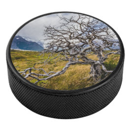 Brandstofboom, Torres del Paine, Chili Hockey Puck