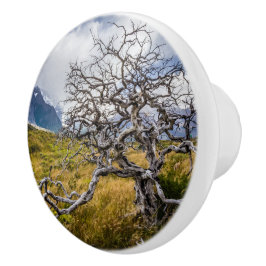 Brandstofboom, Torres del Paine, Chili Keramische Knop