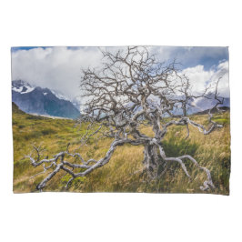 Brandstofboom, Torres del Paine, Chili Kussensloop