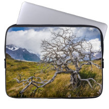 Brandstofboom, Torres del Paine, Chili