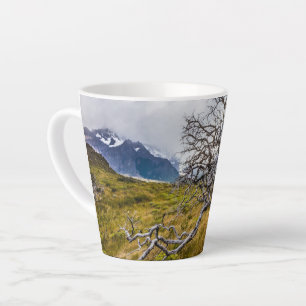 Brandstofboom, Torres del Paine, Chili Latte Mok