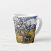 Brandstofboom, Torres del Paine, Chili Latte Mok (Rechterhoek)