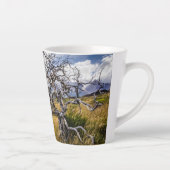 Brandstofboom, Torres del Paine, Chili Latte Mok (Rechts)