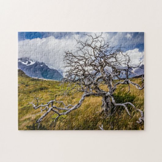 Brandstofboom, Torres del Paine, Chili Legpuzzel (Horizontaal)